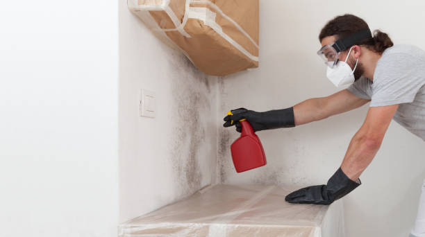 Attic Mold Remediation treatment on roof deck in Garden City
