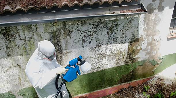 Mold Remediation service in Garden City, Garden City, MI